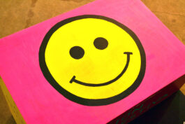 BELÉN ROMERO GUNSET