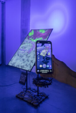 BELÉN ROMERO GUNSET