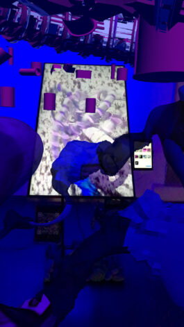 BELÉN ROMERO GUNSET