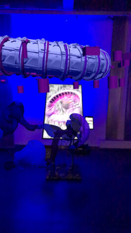 BELÉN ROMERO GUNSET