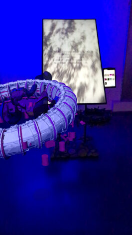 BELÉN ROMERO GUNSET