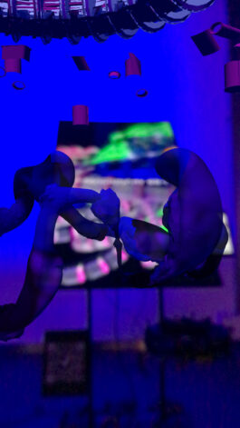 BELÉN ROMERO GUNSET