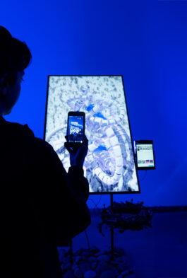 BELÉN ROMERO GUNSET