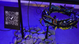 BELÉN ROMERO GUNSET