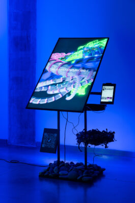 BELÉN ROMERO GUNSET