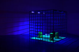 BELÉN ROMERO GUNSET