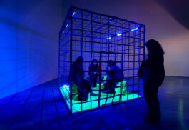 BELÉN ROMERO GUNSET