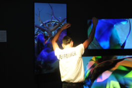 BELÉN ROMERO GUNSET