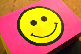 Método S1 De la serie Método S1 2015 Barrio Joven, arteba Instalación, pinturas y performance de Belén Romero Gunset 