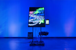 P-Machinary 88-I 2023 Segundo Premio Adquisición, Premio Fundación Andreani 2023 Videoinstalación 02’06” 