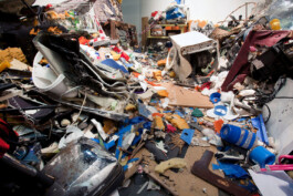 BELÉN ROMERO GUNSET