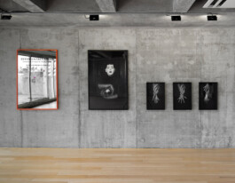 BELÉN ROMERO GUNSET